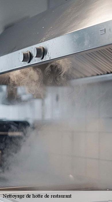 nettoyage-de-hotte-de-restaurant-pro-clean