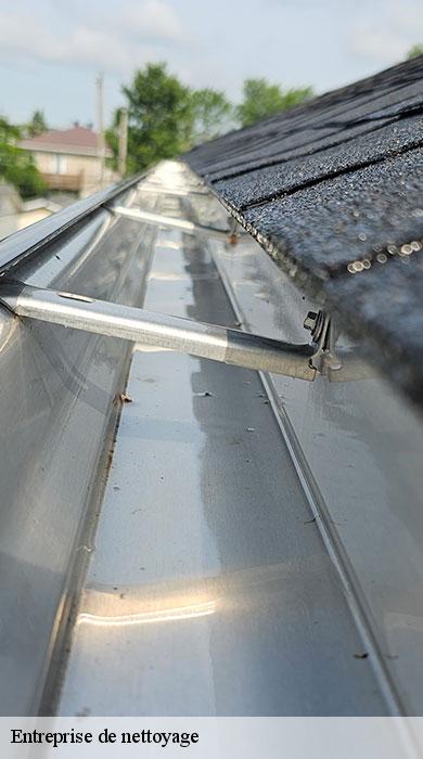 entreprise-de-nettoyage-pro-clean