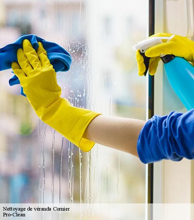 nettoyage-de-veranda-pro-clean