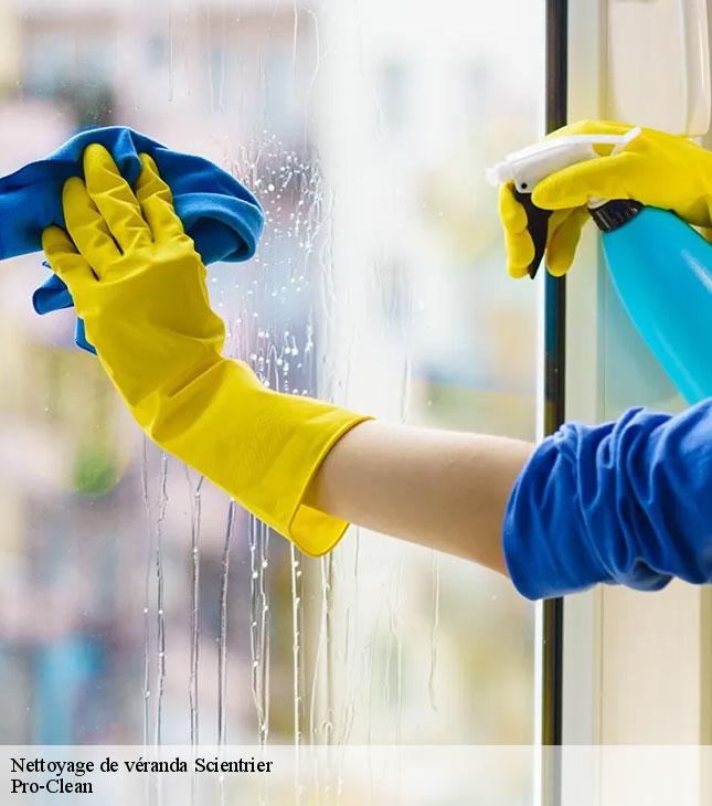 nettoyage-de-veranda-pro-clean