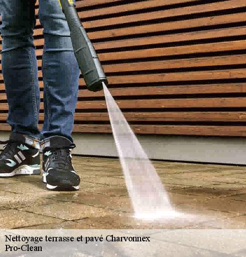 nettoyage-terrasse-et-pave-pro-clean