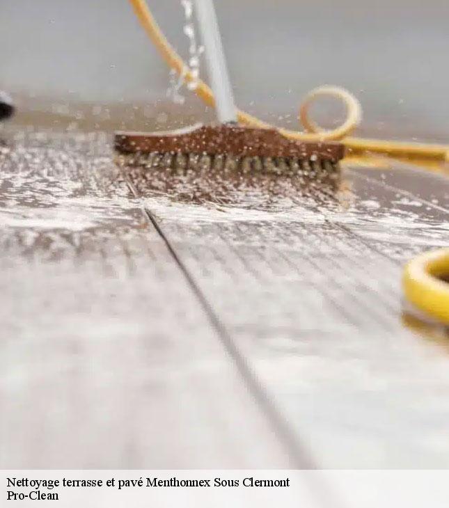 nettoyage-terrasse-et-pave-pro-clean