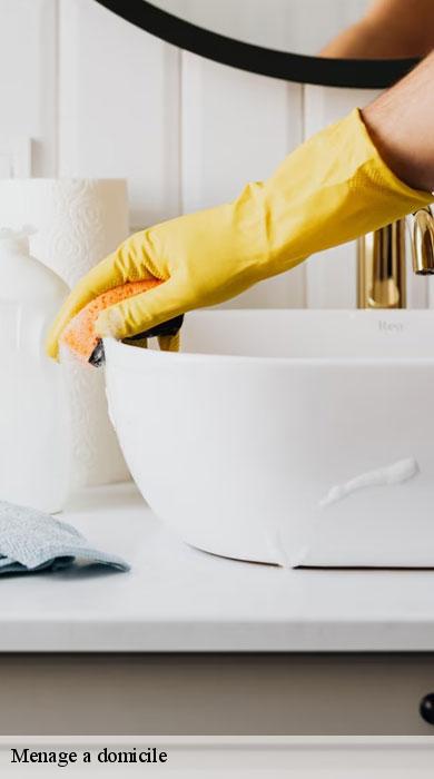 menage-a-domicile-pro-clean