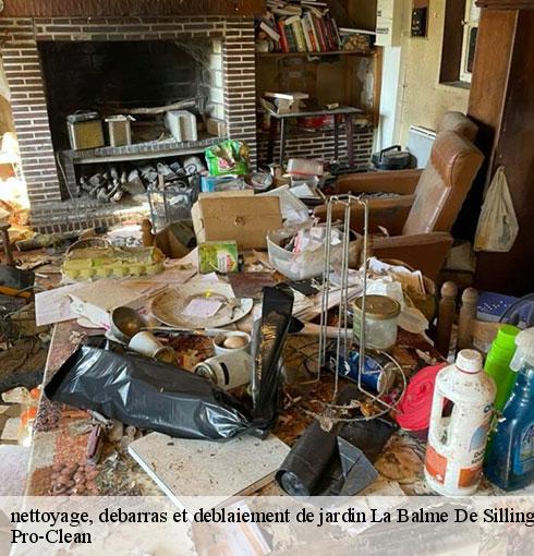 nettoyage-debarras-et-deblaiement-de-jardin-pro-clean