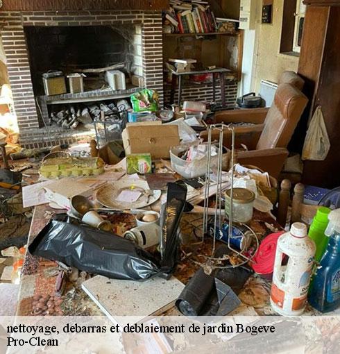 nettoyage-debarras-et-deblaiement-de-jardin-pro-clean