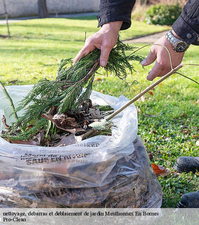nettoyage-debarras-et-deblaiement-de-jardin-pro-clean