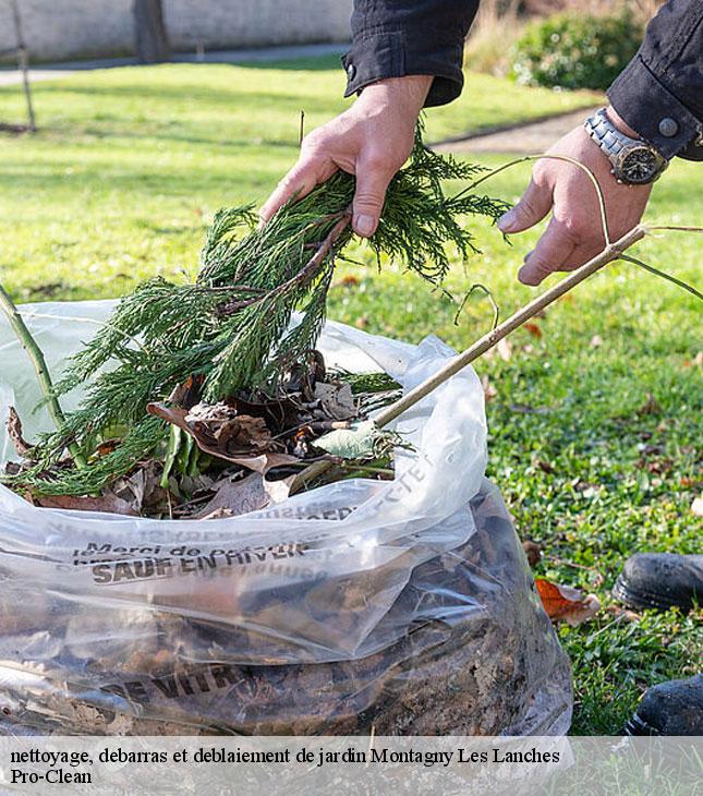nettoyage-debarras-et-deblaiement-de-jardin-pro-clean