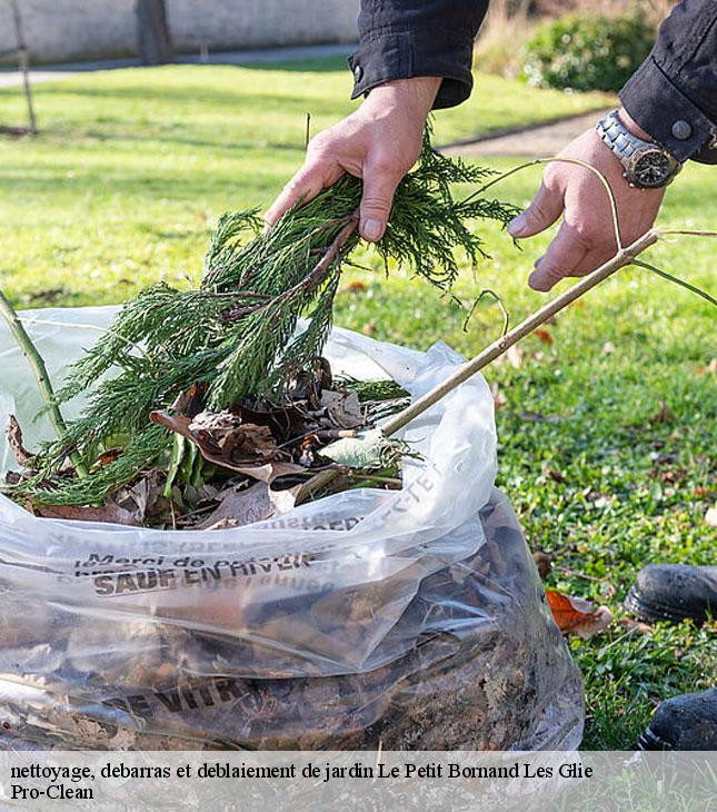 nettoyage-debarras-et-deblaiement-de-jardin-pro-clean