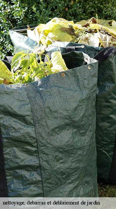 nettoyage-debarras-et-deblaiement-de-jardin-pro-clean