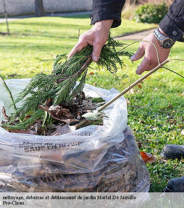 nettoyage-debarras-et-deblaiement-de-jardin-pro-clean