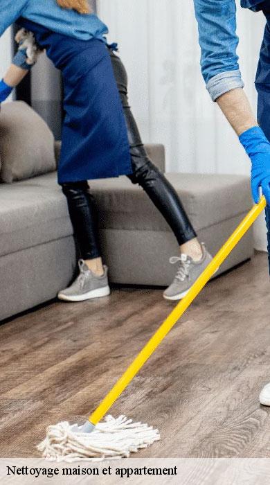 nettoyage-maison-et-appartement-pro-clean