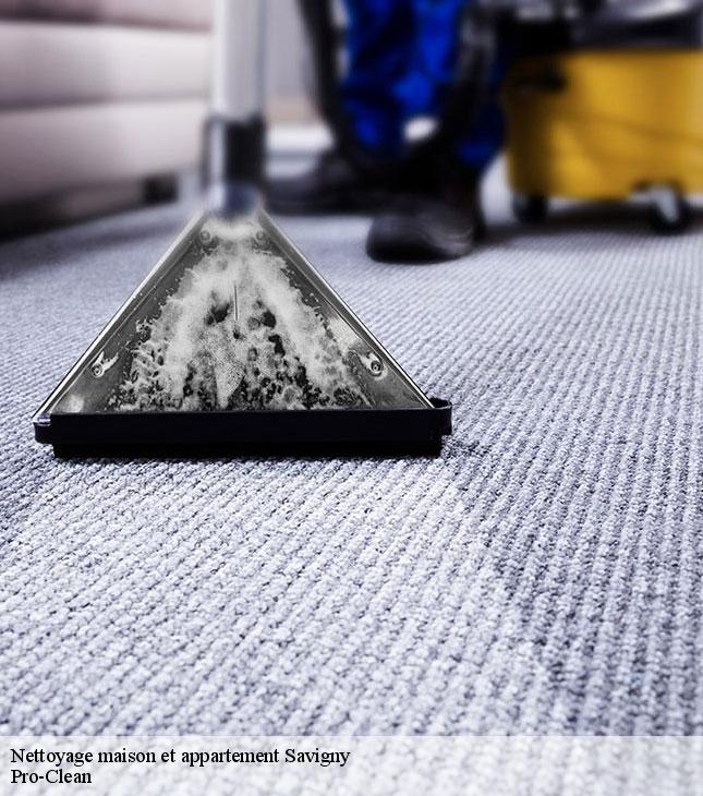 nettoyage-maison-et-appartement-pro-clean