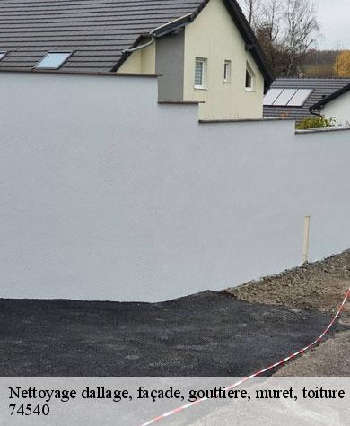 nettoyage-dallage-facade-gouttiere-muret-toiture-pro-clean