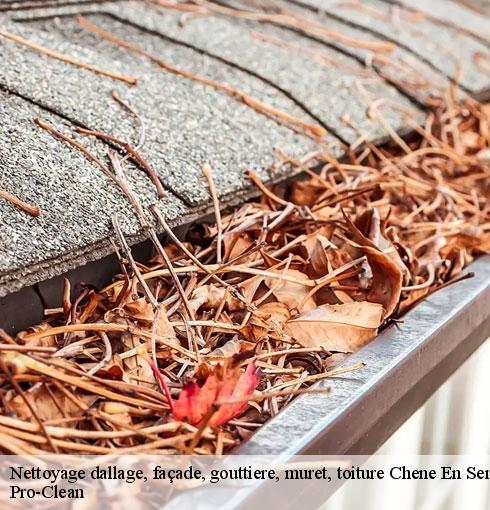 nettoyage-dallage-facade-gouttiere-muret-toiture-pro-clean