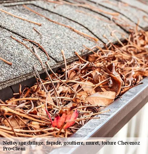nettoyage-dallage-facade-gouttiere-muret-toiture-pro-clean