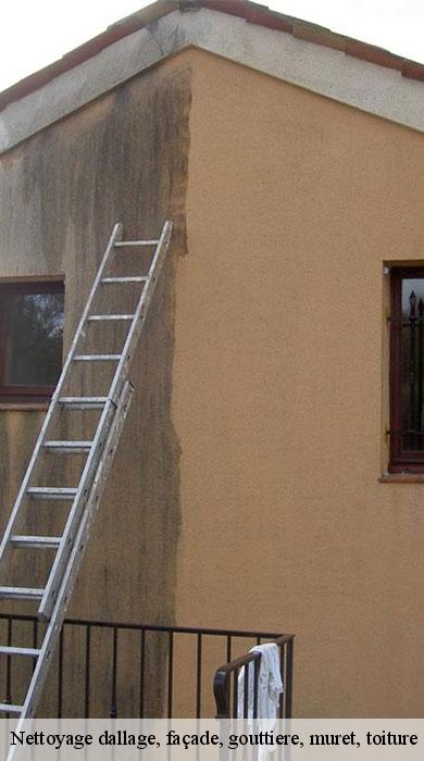nettoyage-dallage-facade-gouttiere-muret-toiture-pro-clean