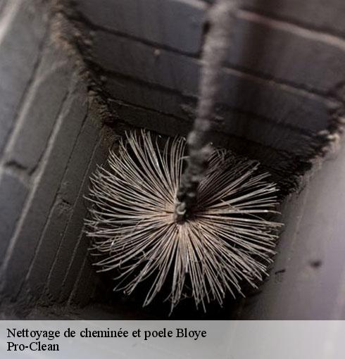 nettoyage-de-cheminee-et-poele-pro-clean