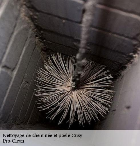 nettoyage-de-cheminee-et-poele-pro-clean