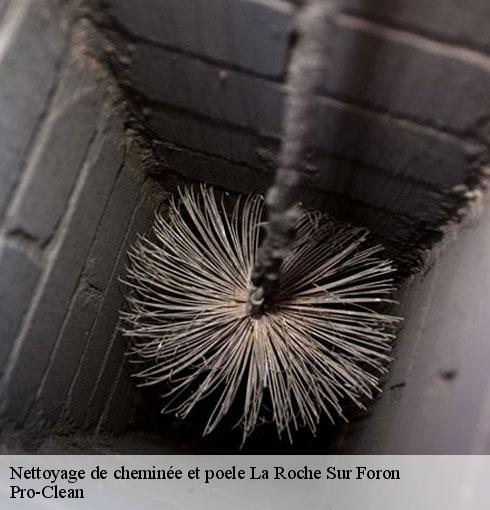 nettoyage-de-cheminee-et-poele-pro-clean