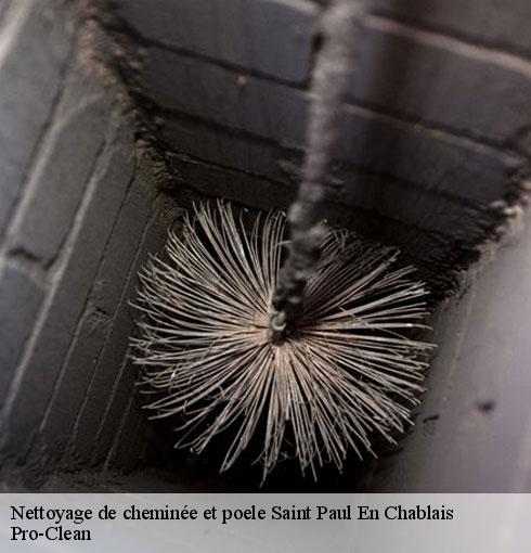 nettoyage-de-cheminee-et-poele-pro-clean